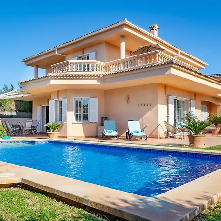 Palmera