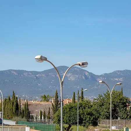 Palmera