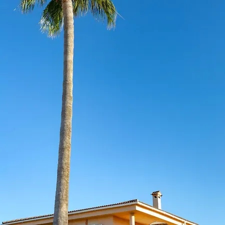 Palmera *