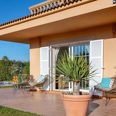 Palmera * Palma de Mallorca