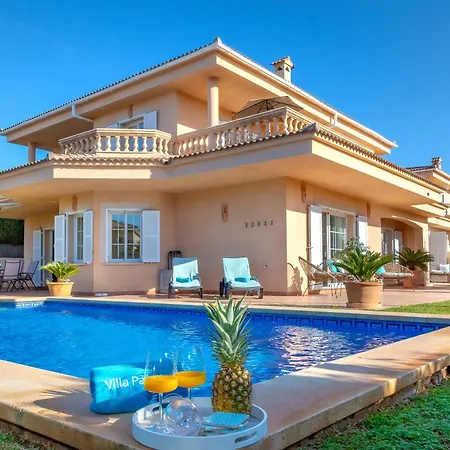 Palmera