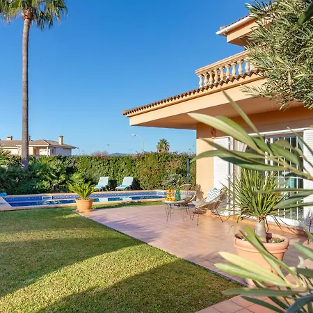 Palmera * Palma de Mallorca