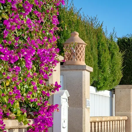 Palmera Villa *