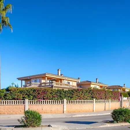 Palmera