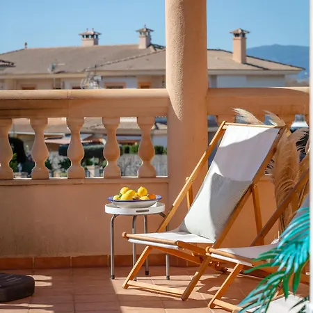 Palmera * Palma di Maiorca
